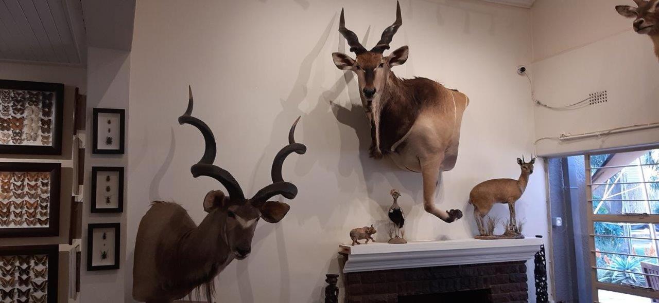Afton Safari Lodge 肯普顿帕克 外观 照片
